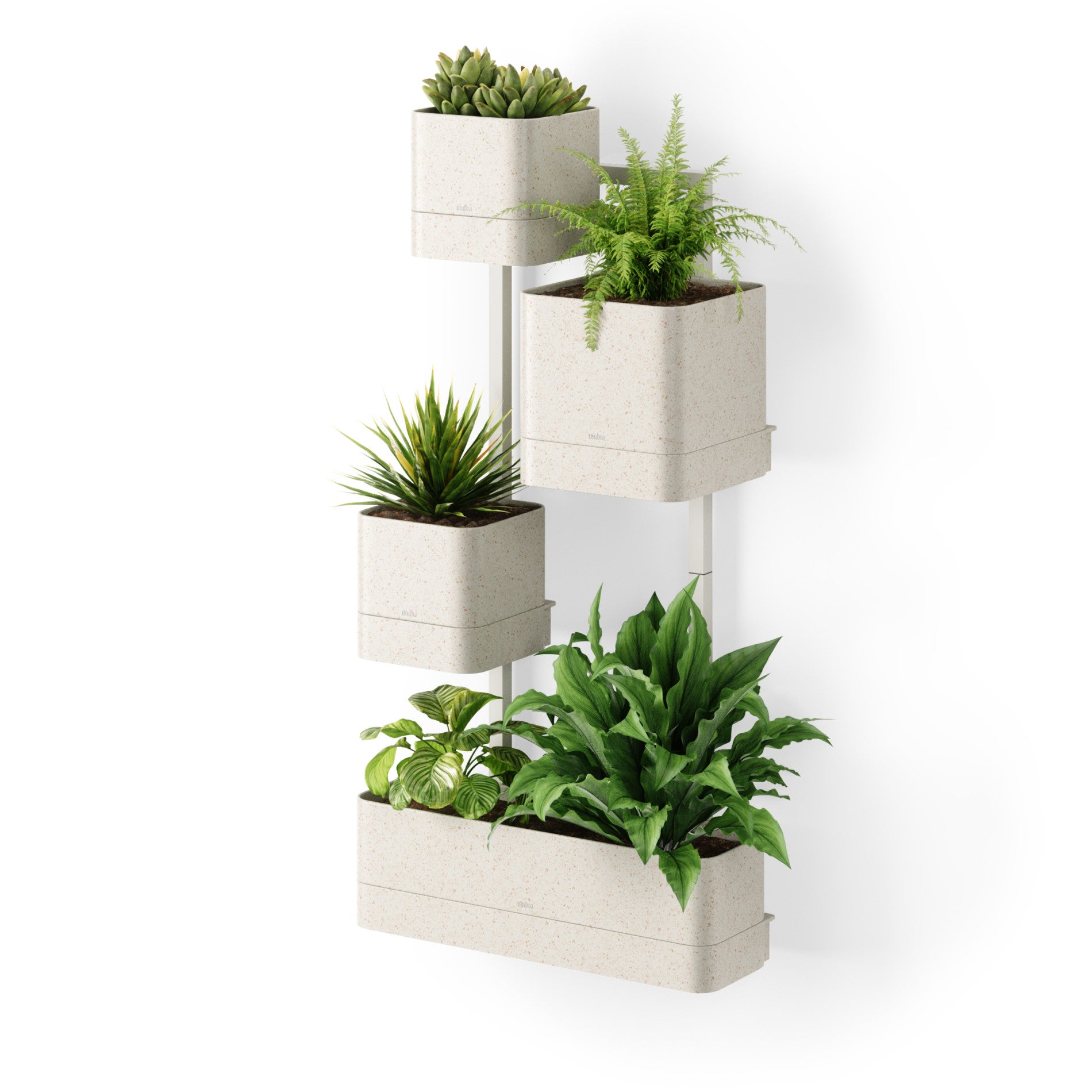 Modern Cubiko Wall Planter for Indoor Plants