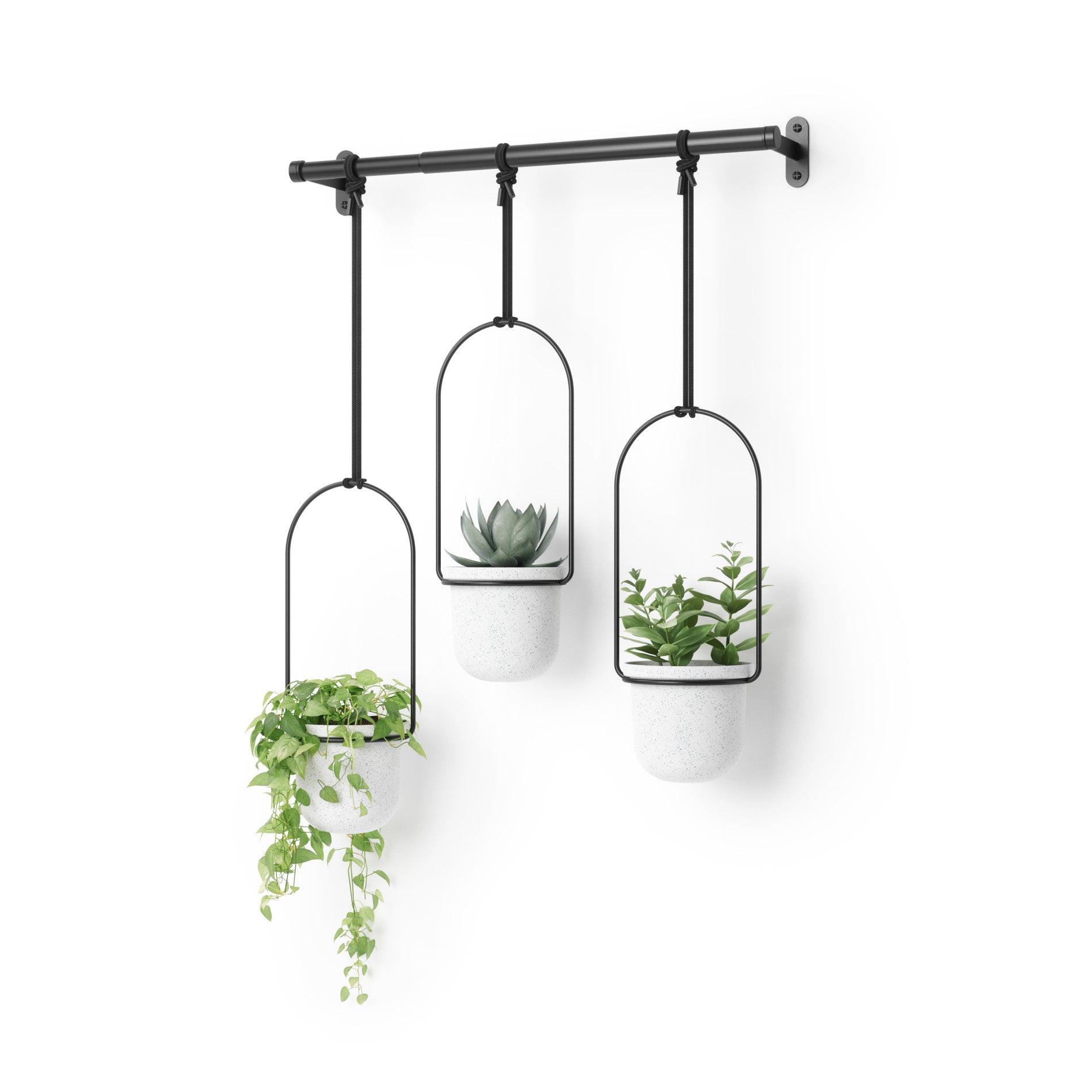 3-Pack Hanging Plant Pots by Triflora
