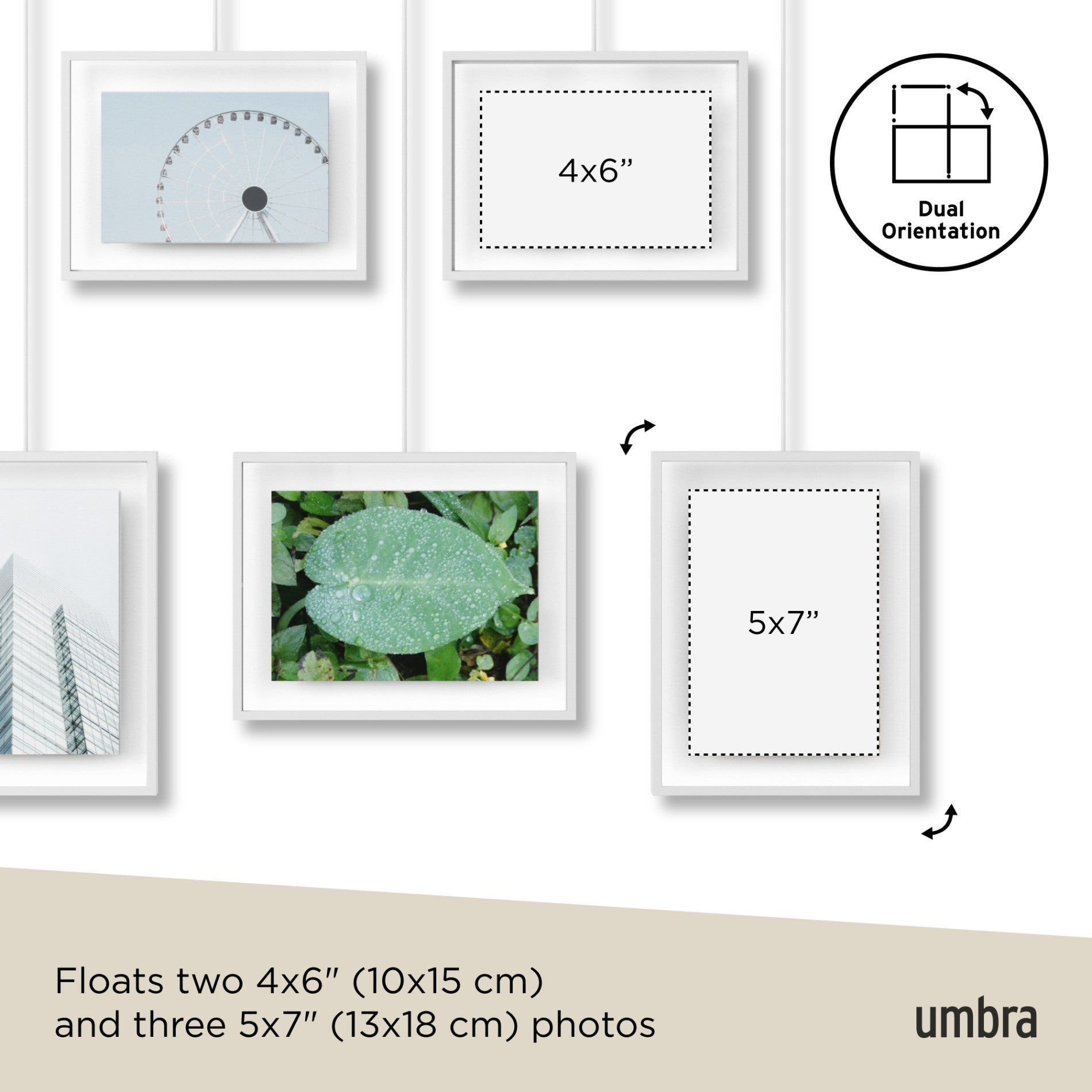5-Pack Exhibit Wall Frames for Art Display
