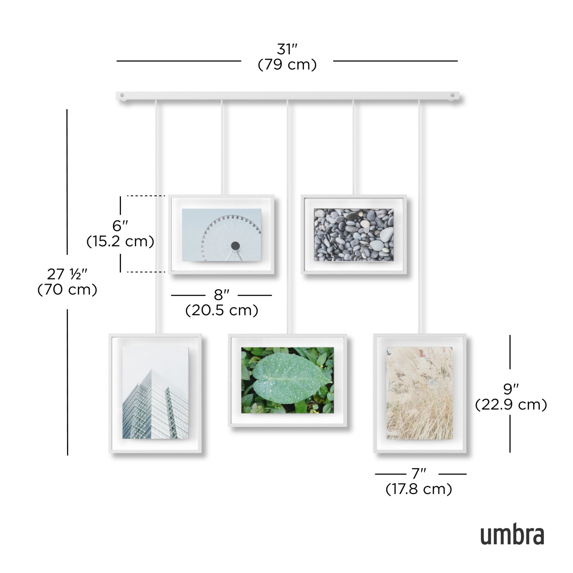 5-Pack Exhibit Wall Frames for Art Display