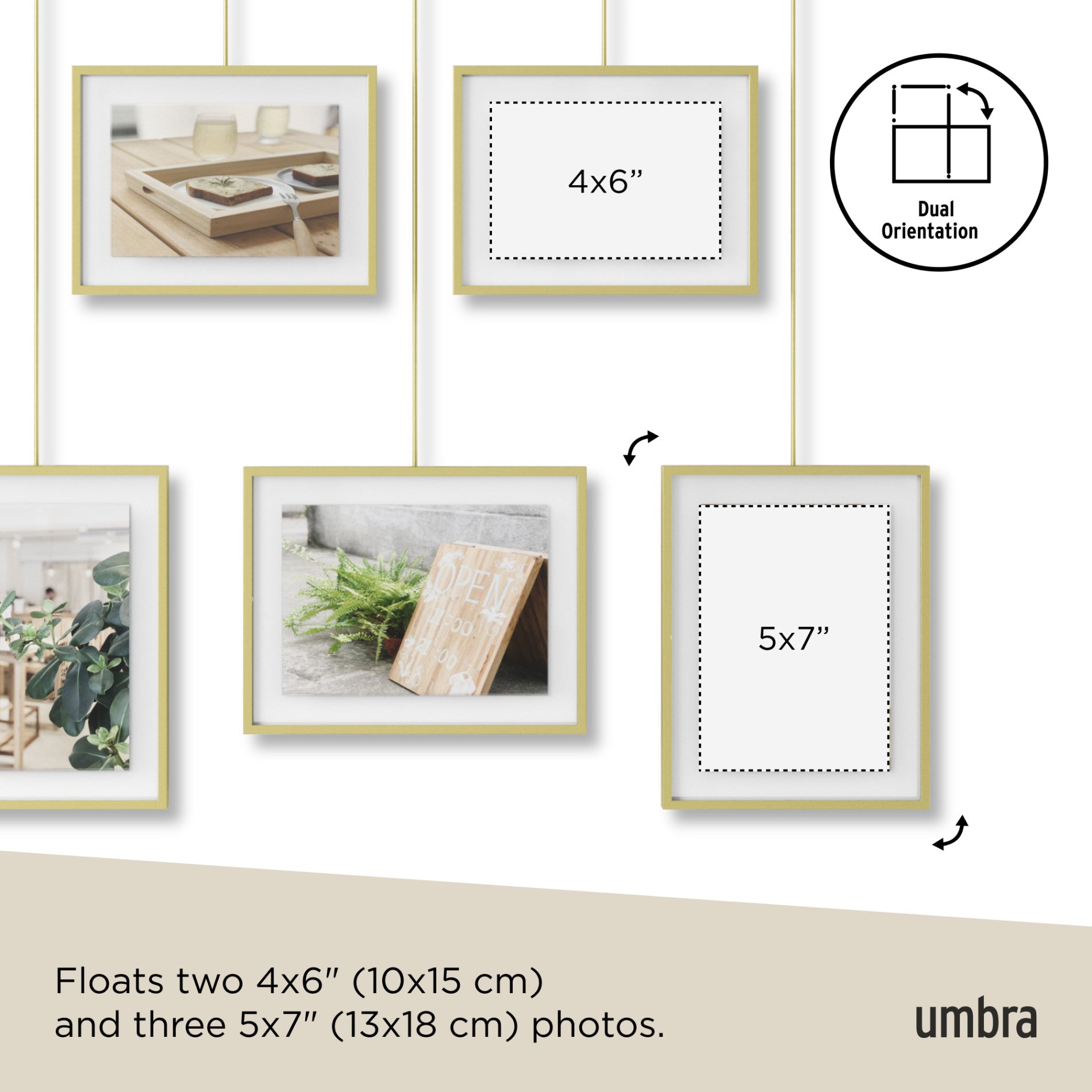 5-Pack Exhibit Wall Frames for Art Display