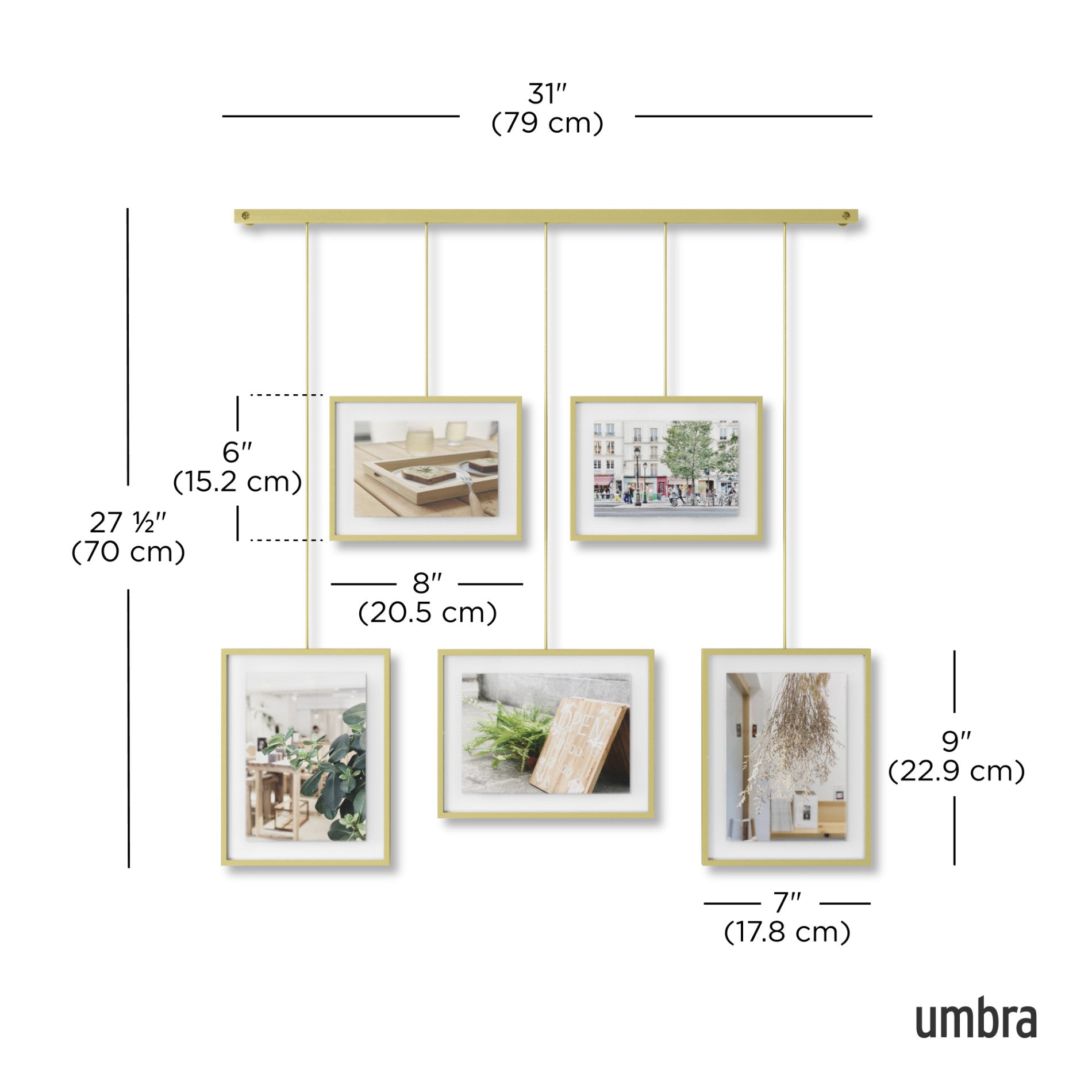 5-Pack Exhibit Wall Frames for Art Display