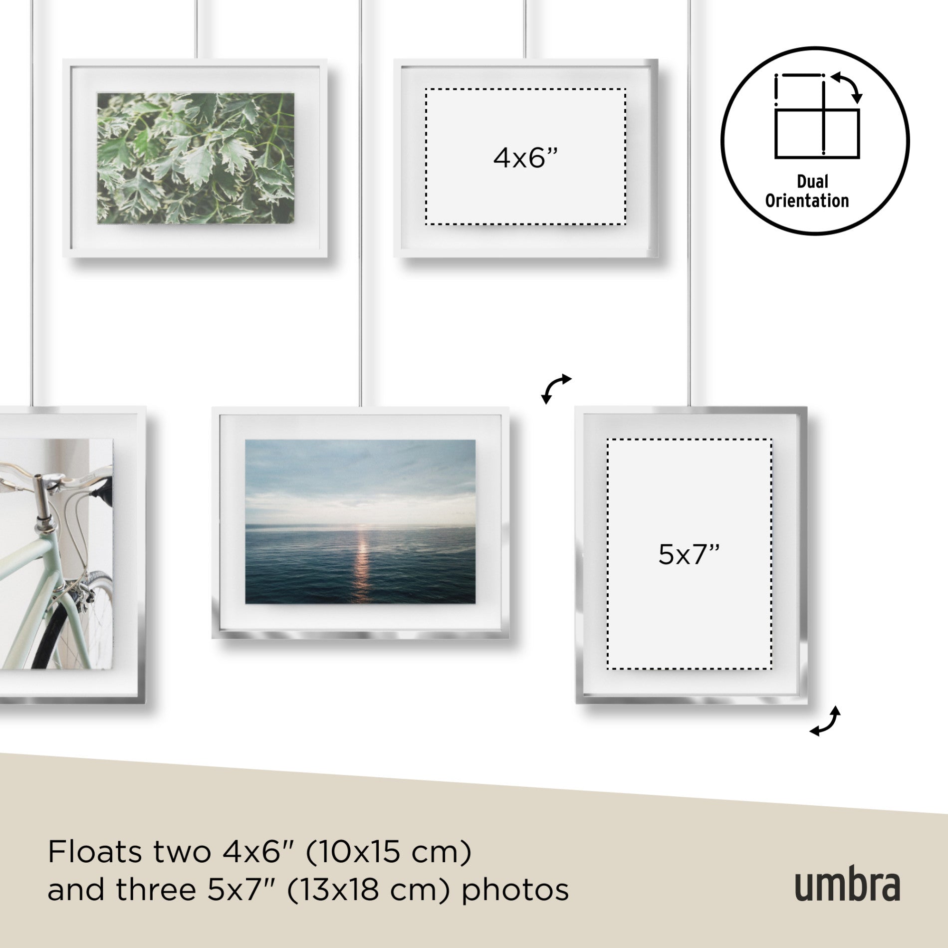 5-Pack Exhibit Wall Frames for Art Display