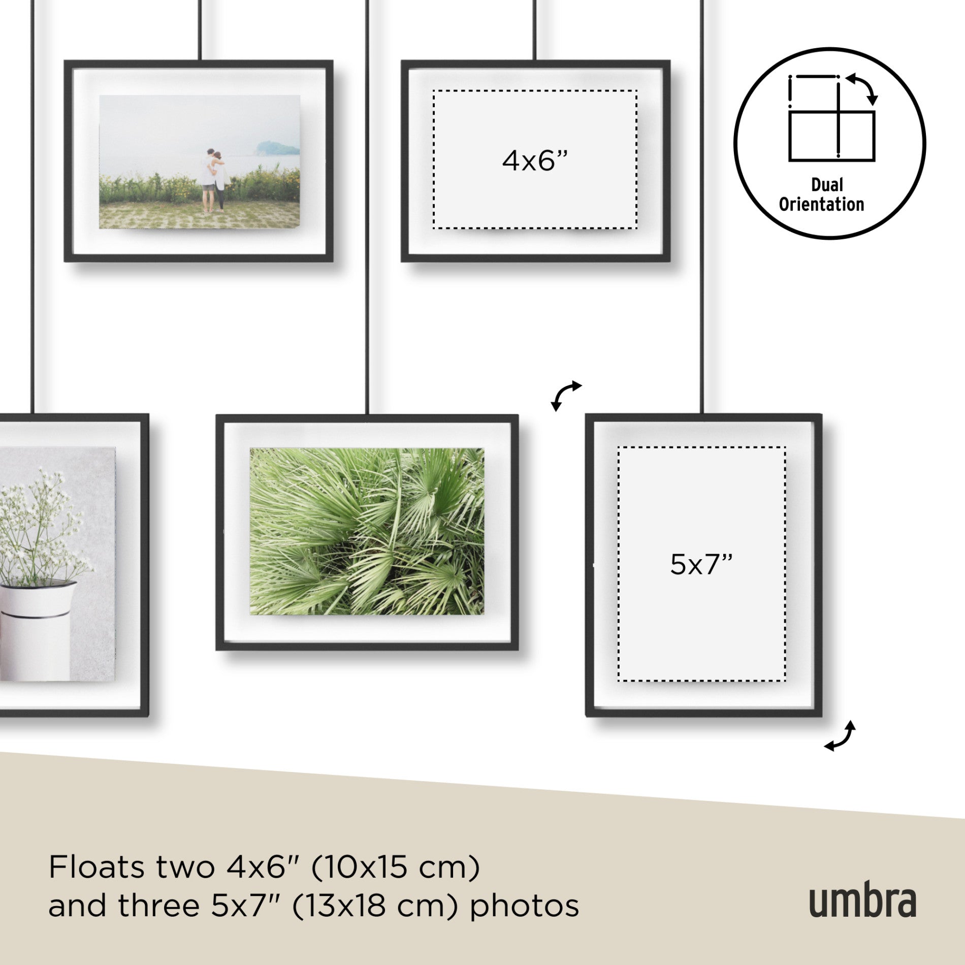 5-Pack Exhibit Wall Frames for Art Display