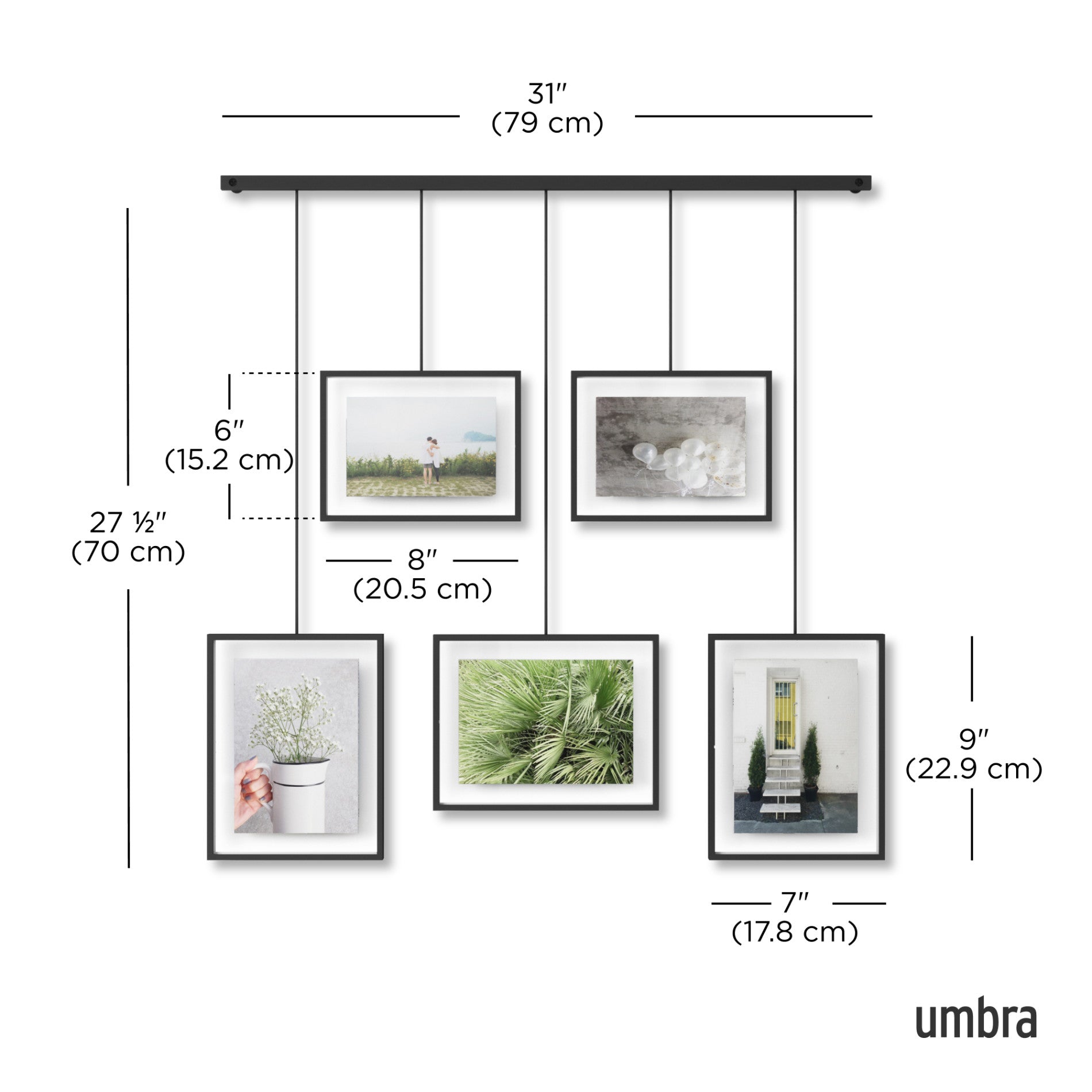 5-Pack Exhibit Wall Frames for Art Display