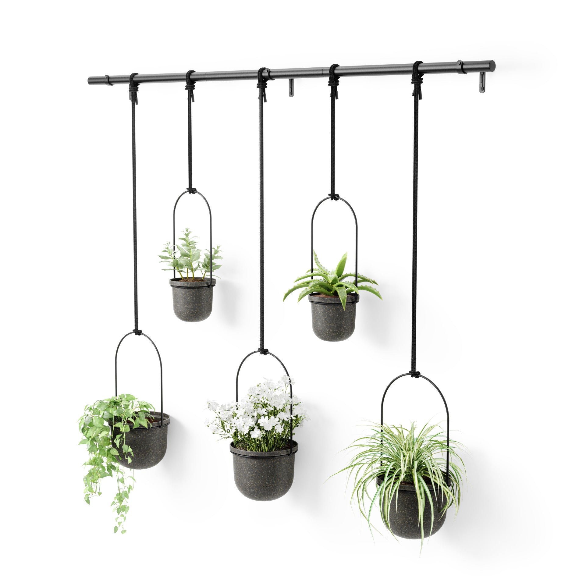 5-Pack Hanging Planters for Indoor Greenery