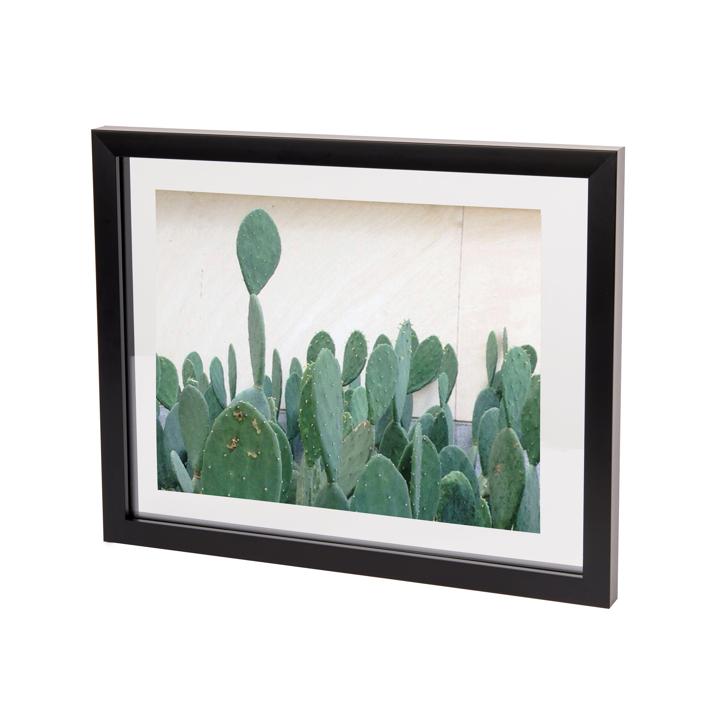 Stylish Document Frame Set for Home & Office